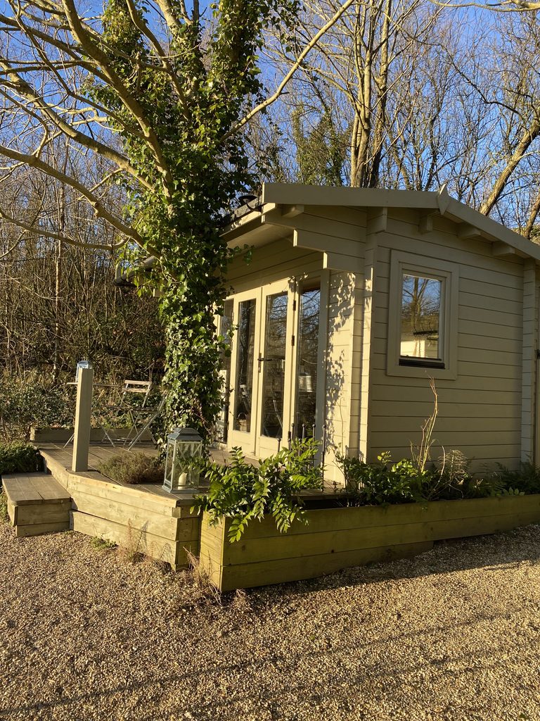 Sage green timber cabin with glass doors and a small deck, next to an ivy-covered tree in winter sun