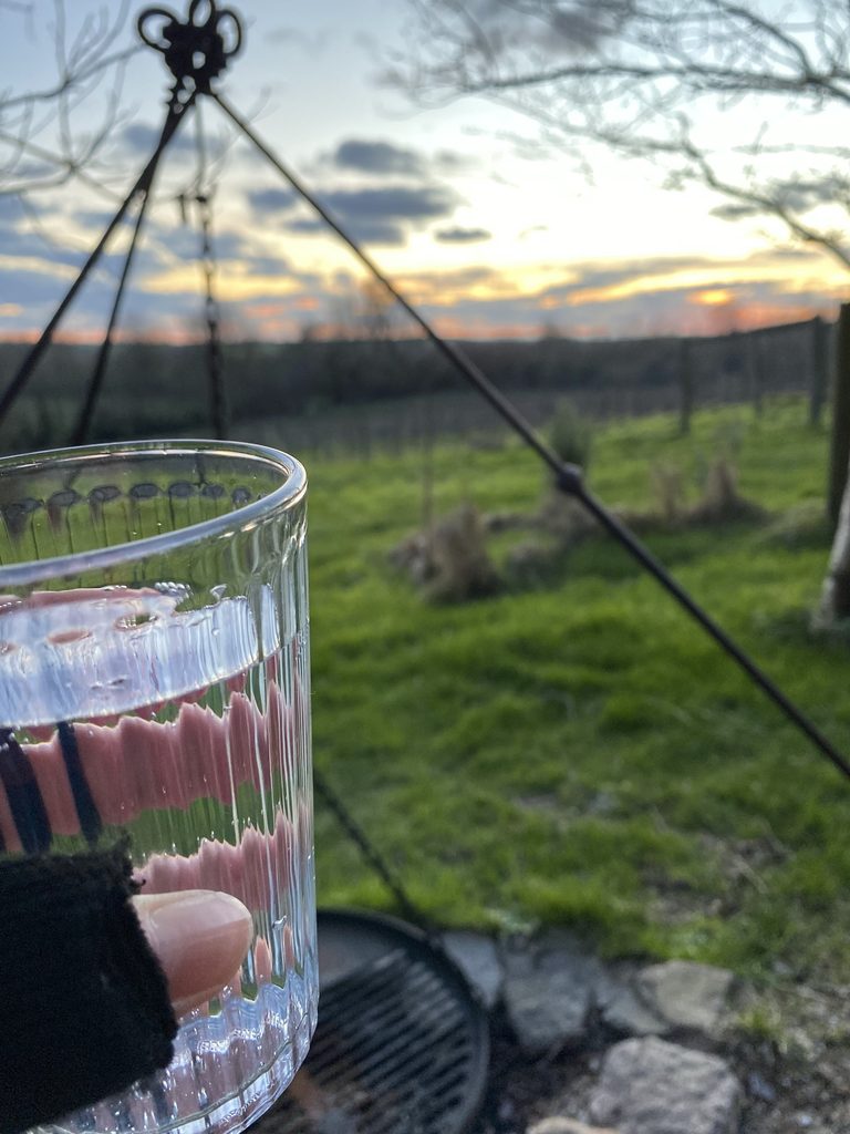 A hand holds a glass of pink drink by the fire pit at sunset, with the vineyard field behind